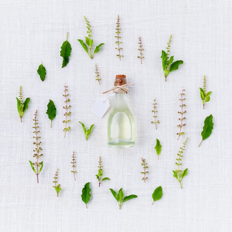 Pruning Essentials